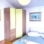 State Of Art, Balica Rat