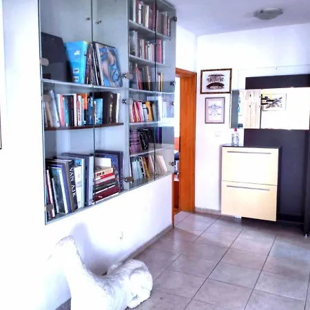 State Of Art, Balica Rat