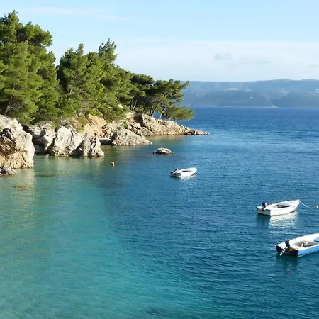 Beach State Of Art, Balica Rat *